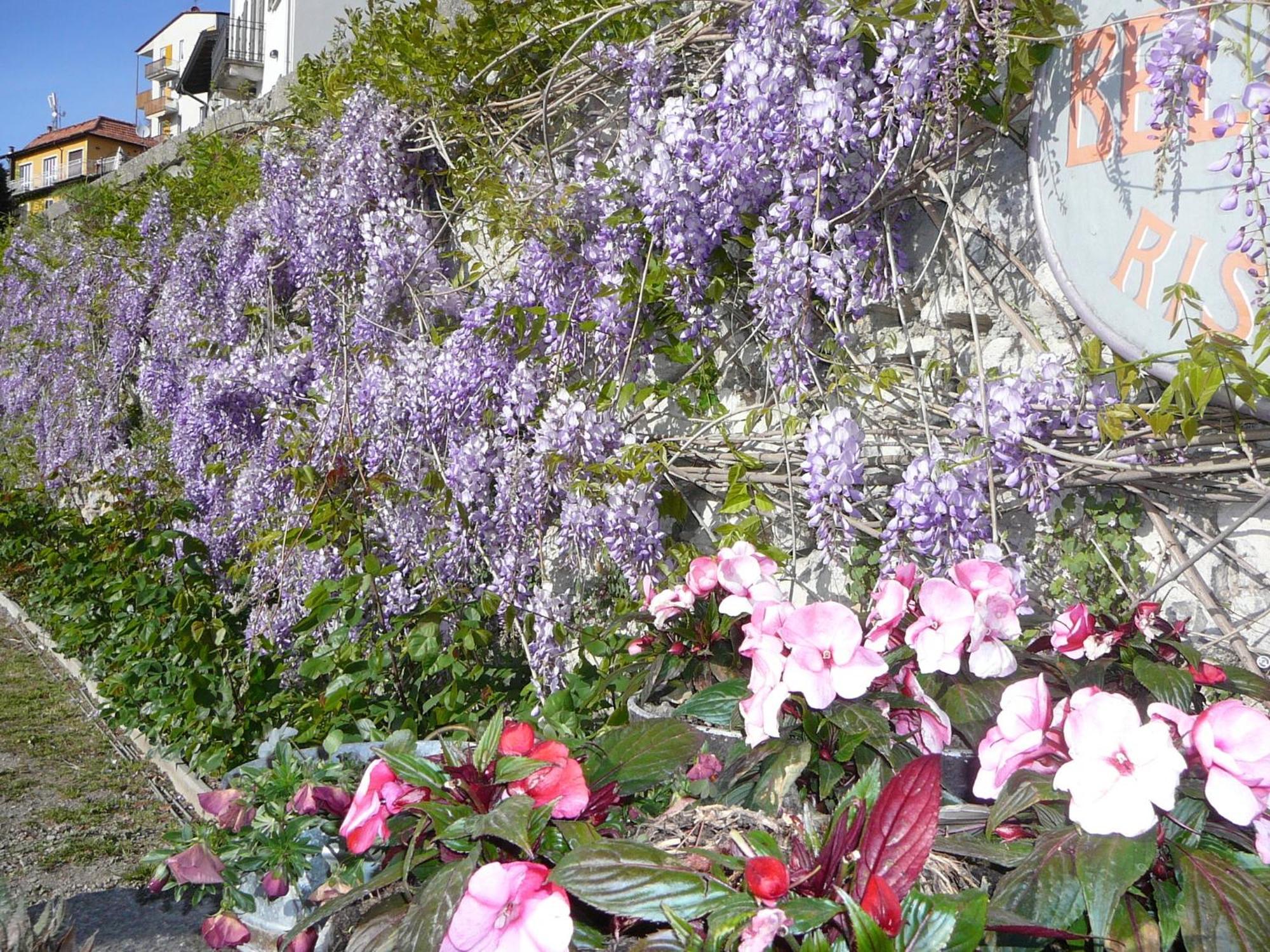 Bellavista Boutique Hotel Brunate Εξωτερικό φωτογραφία