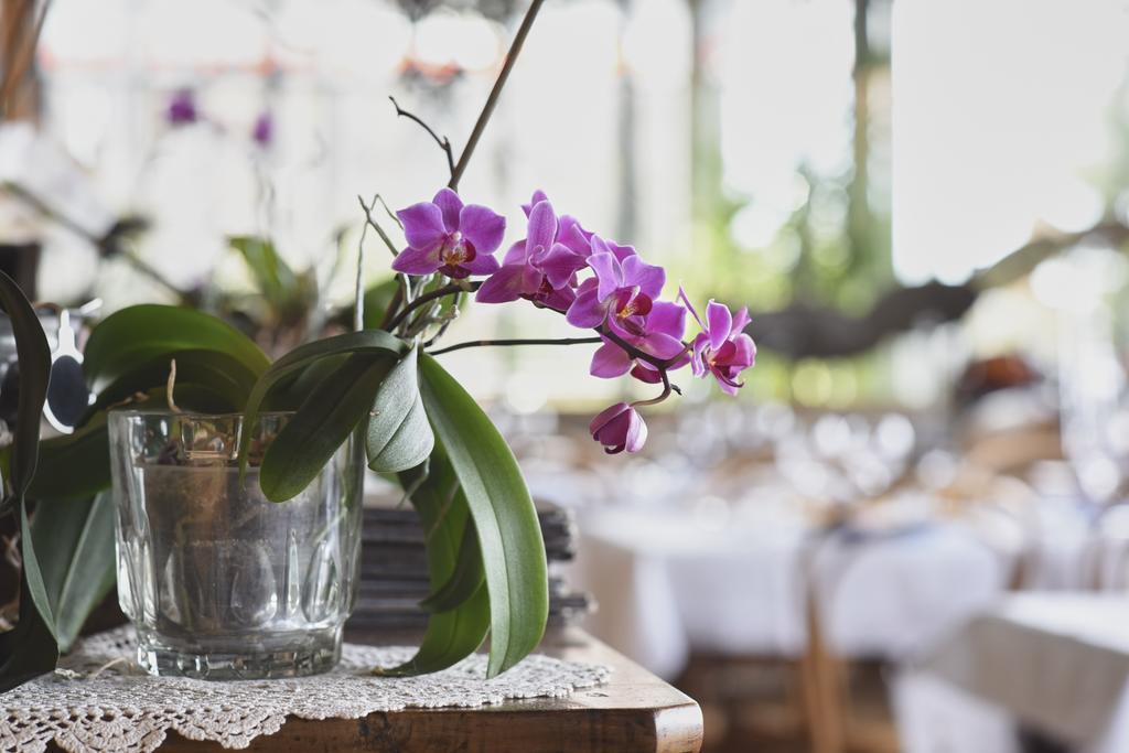 Bellavista Boutique Hotel Brunate Εξωτερικό φωτογραφία